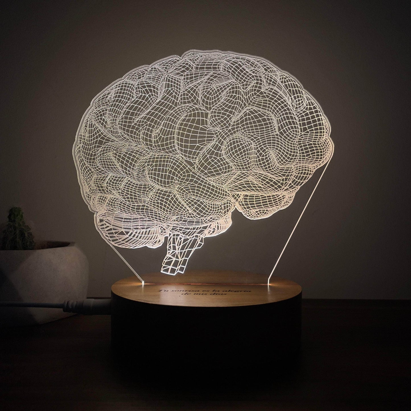 Lámpara Led Cerebro 3D lámparas