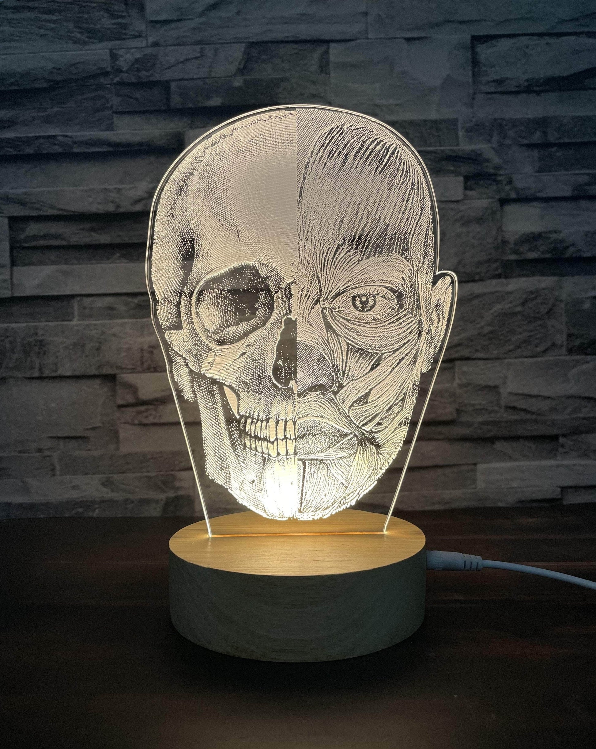 Lámpara Led Cráneo con músculos lámparas Luz Cálida