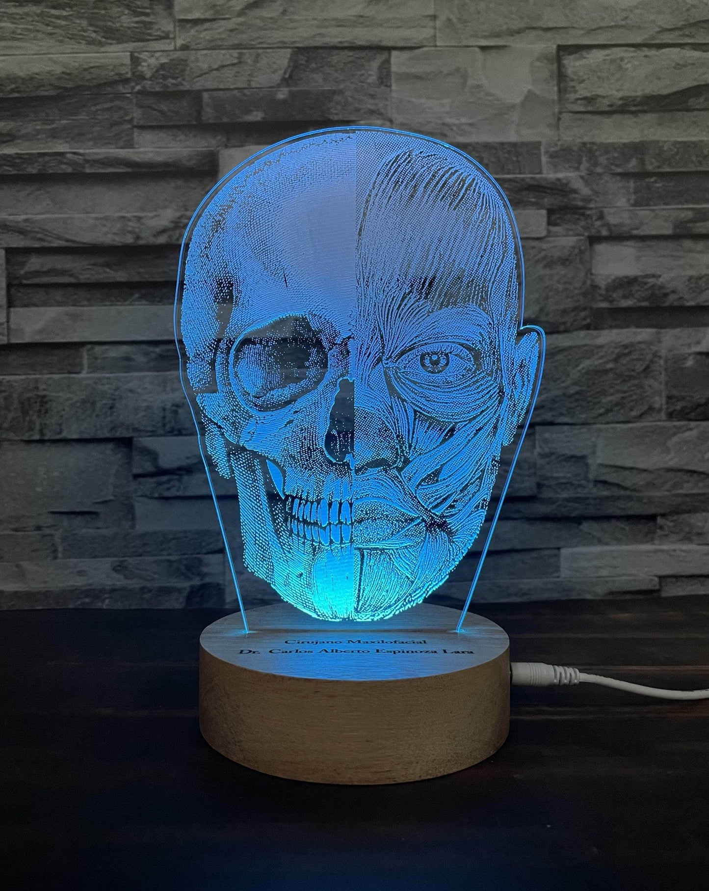 Lámpara Led Cráneo con músculos lámparas Luces de Colores intercambiables