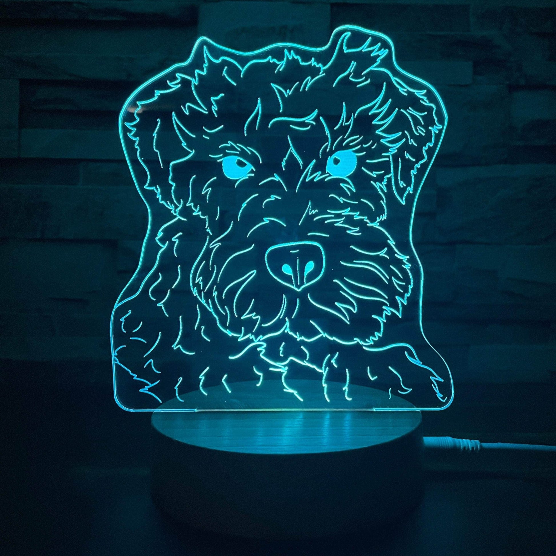 Lámpara Personalizada Lámpara dibujo de mascota lámparas
