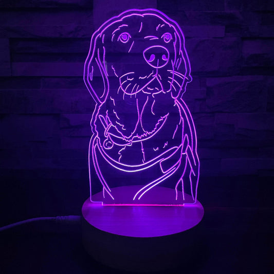 Lámpara Personalizada Lámpara dibujo de mascota lámparas Luces de Colores intercambiables